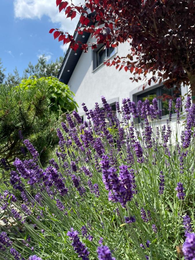 Hortus Apartament Z Klimatyzacja 博莱斯瓦维茨 外观 照片