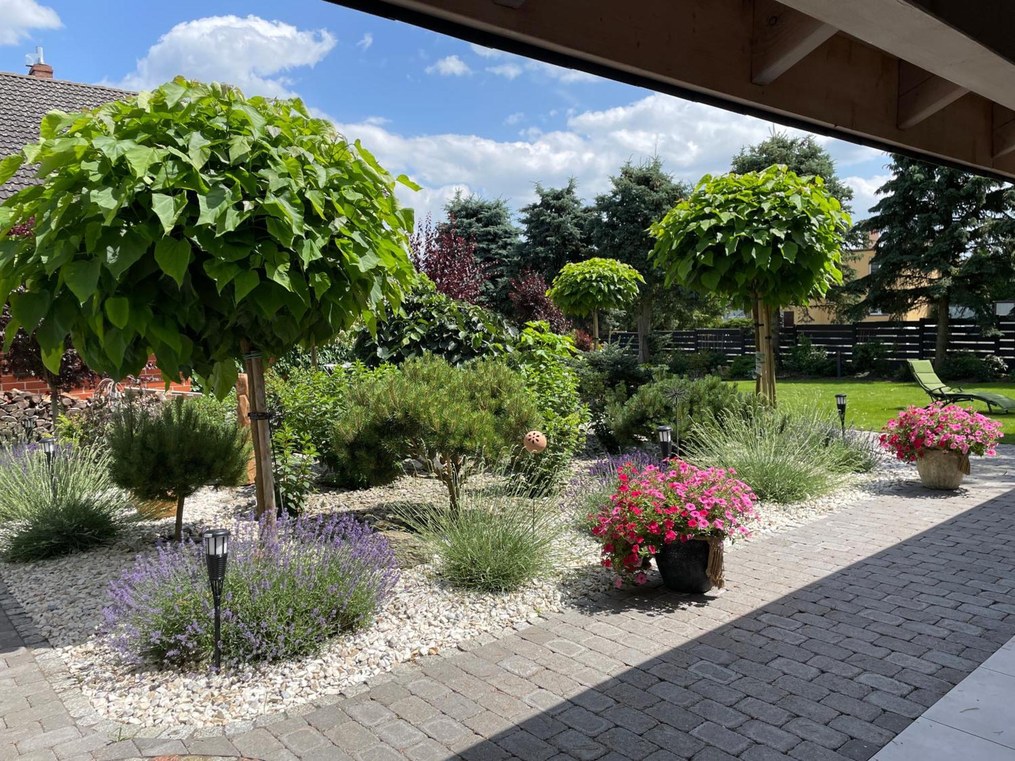 Hortus Apartament Z Klimatyzacja 博莱斯瓦维茨 外观 照片