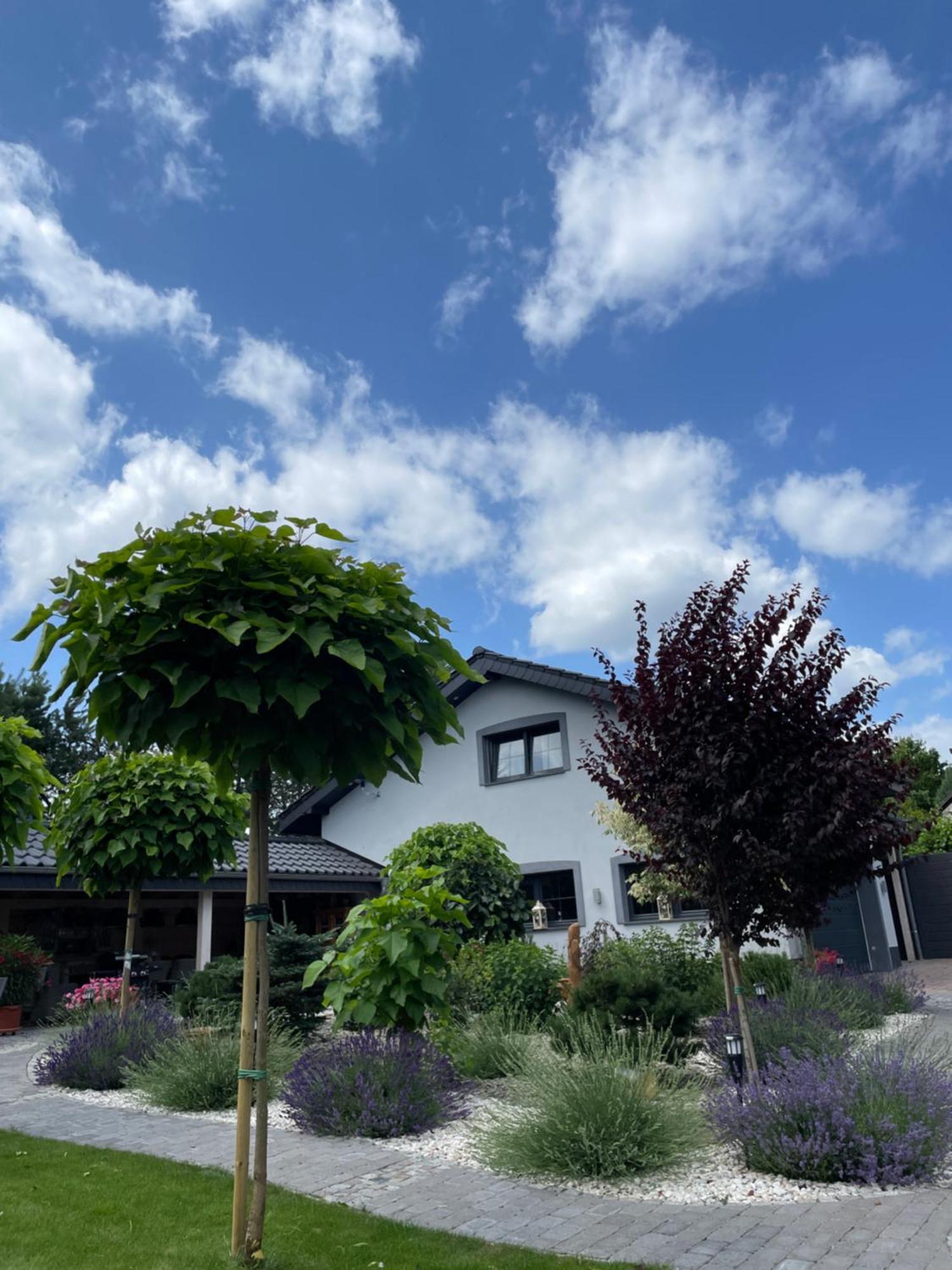 Hortus Apartament Z Klimatyzacja 博莱斯瓦维茨 外观 照片